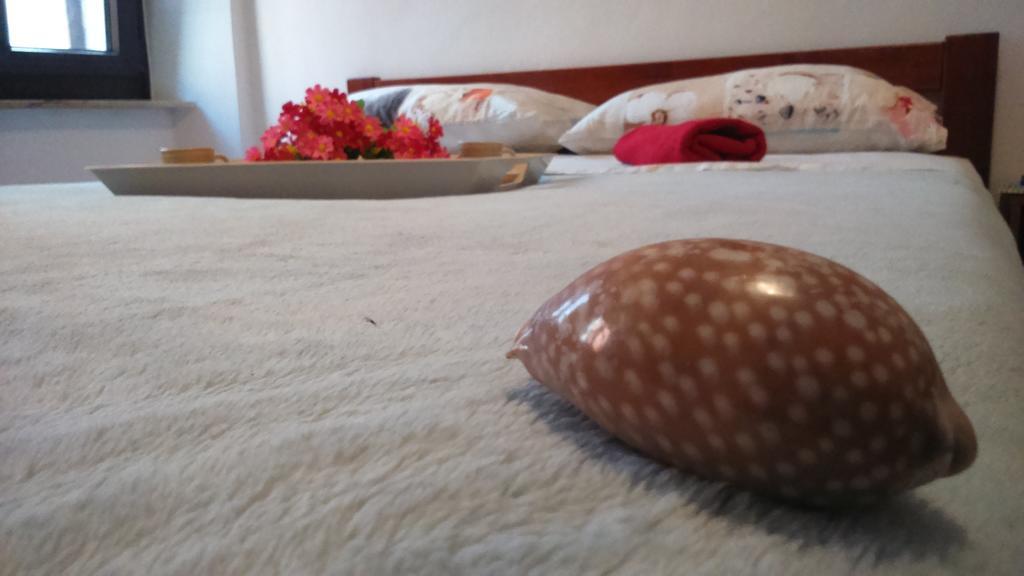 Apartment Vladka Izola Dış mekan fotoğraf